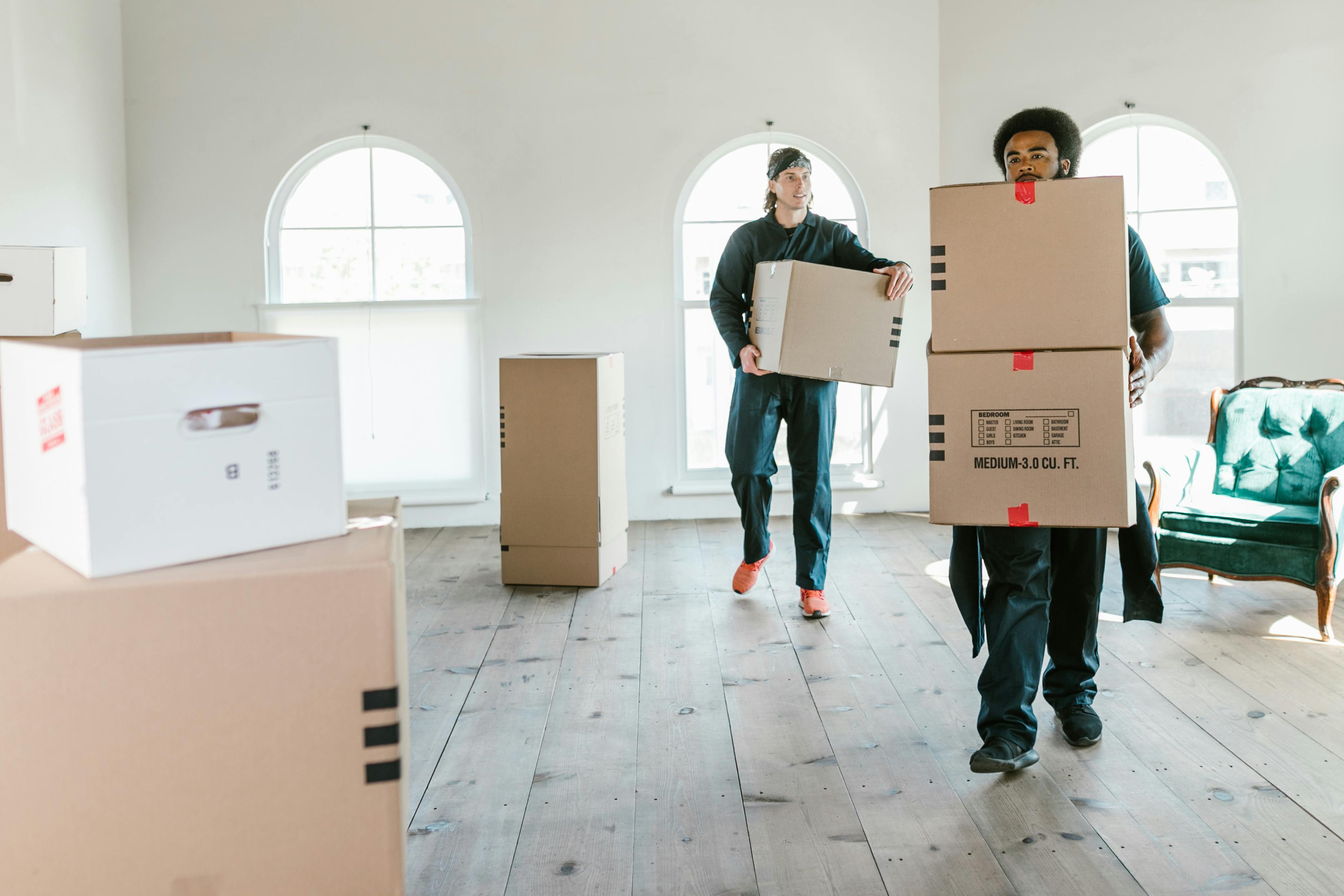 Move-In / Move-Out